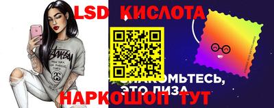 прущие грибы Краснодар