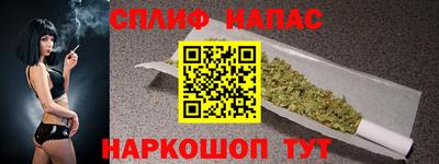 прущие грибы Краснодар