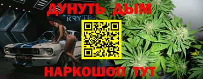 прущие грибы Краснодар