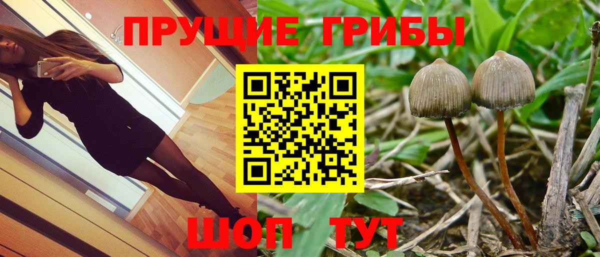 Кирово-Чепецк  Галлюциногенные грибы мицелий  Галлюциногенные грибы Cubensis  сколько стоит  Вход с VPN 